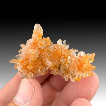 Creedite