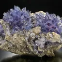 Creedite - image 2