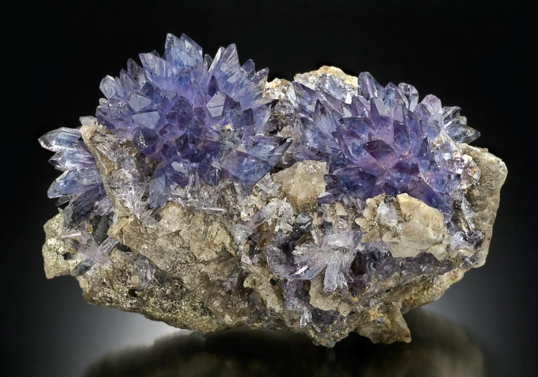 Creedite - image 2