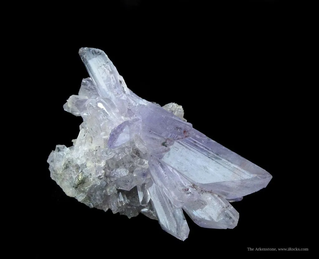 Creedite - image 4
