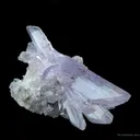 Creedite - image 4