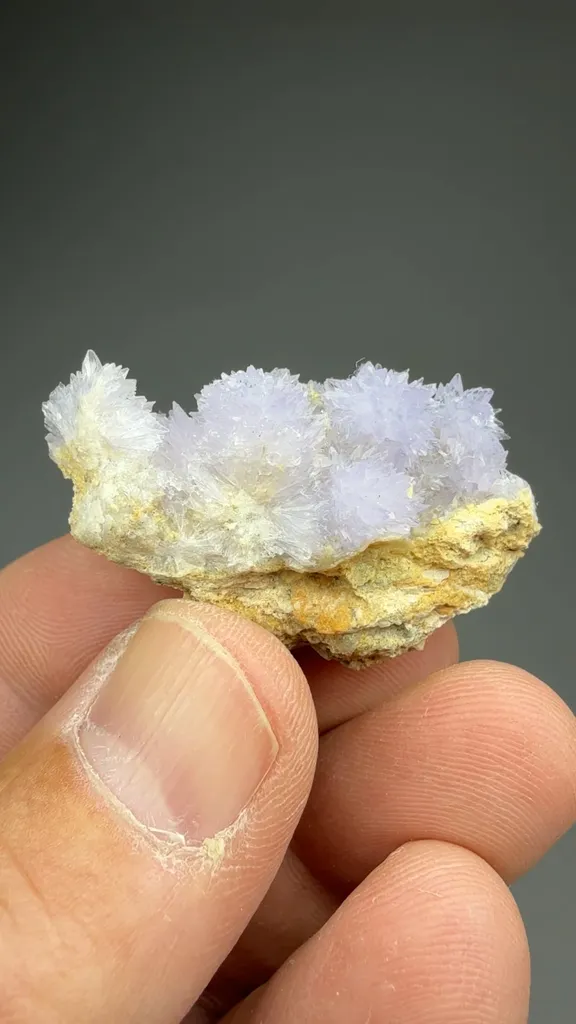 Creedite - image 2