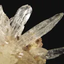 Creedite - image 2
