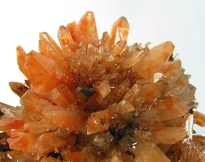 Creedite - image 2