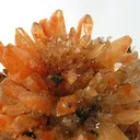 Creedite - image 2