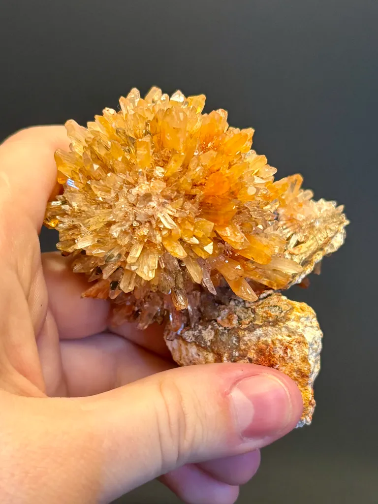 Creedite - image 6