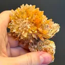 Creedite - image 6