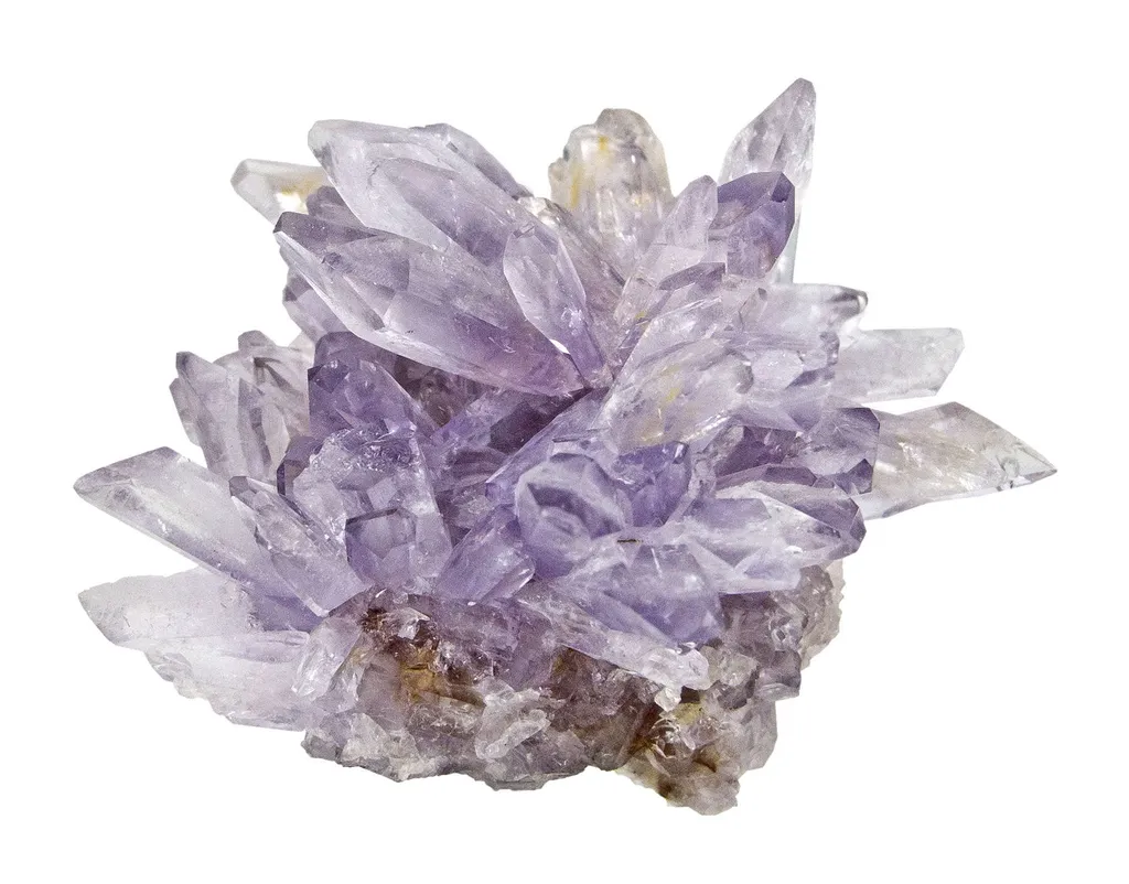 Creedite image