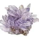 Creedite - image 1