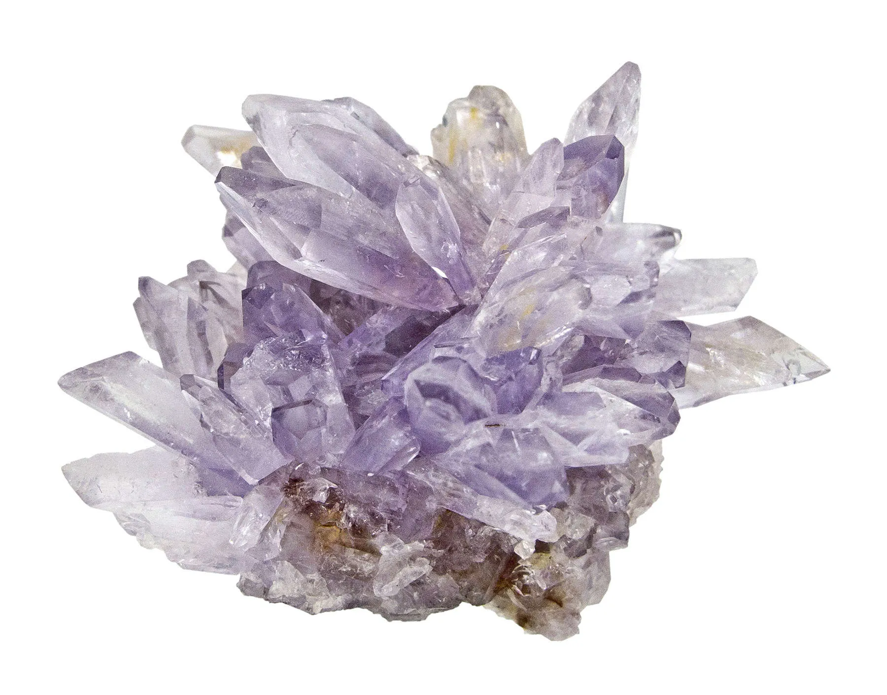 Creedite - image 1