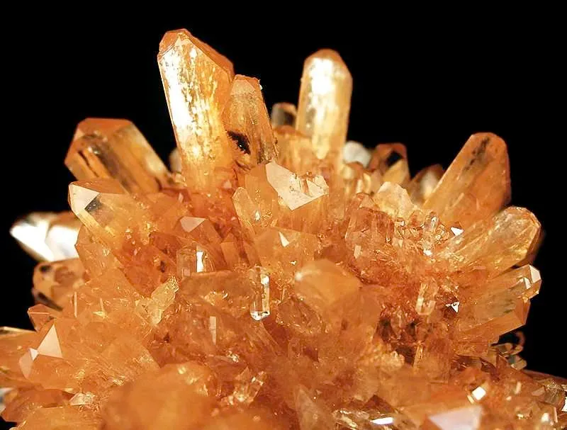 Creedite - image 2