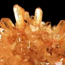 Creedite - image 2