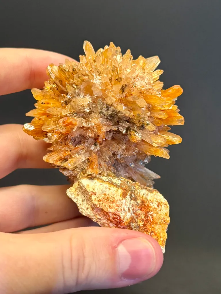 Creedite - image 5