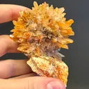 Creedite - image 5