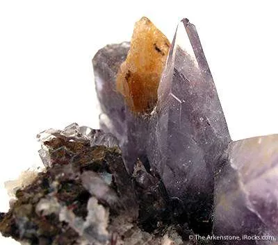 Creedite - image 2