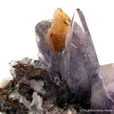 Creedite - image 2