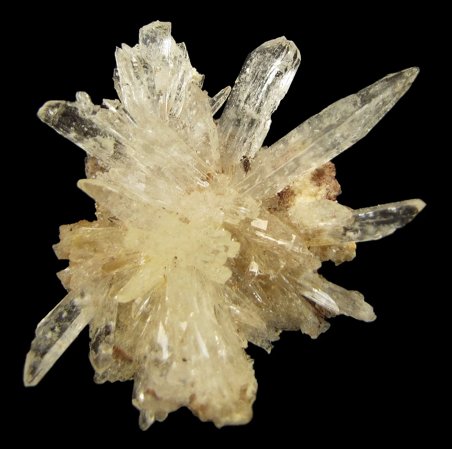 Creedite - image 1