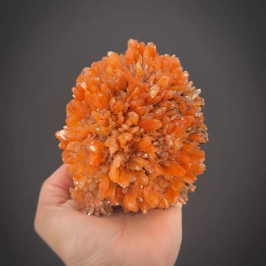 Creedite image