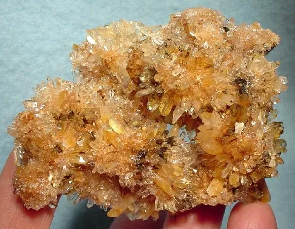 Creedite image