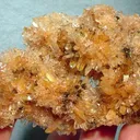 Creedite - image 1
