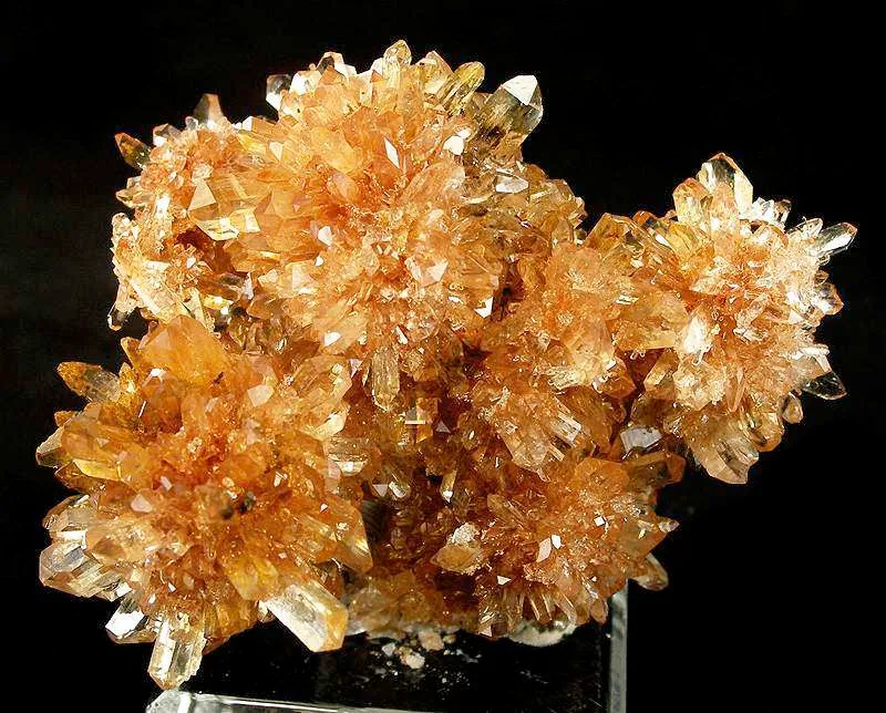 Creedite image