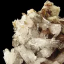 Creedite - image 3