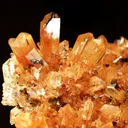 Creedite - image 3