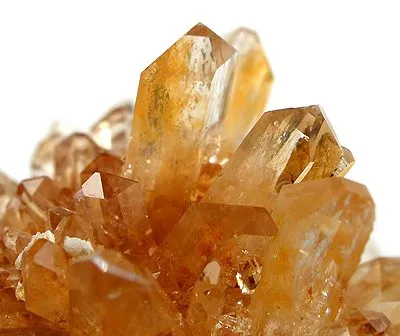 Creedite - image 2