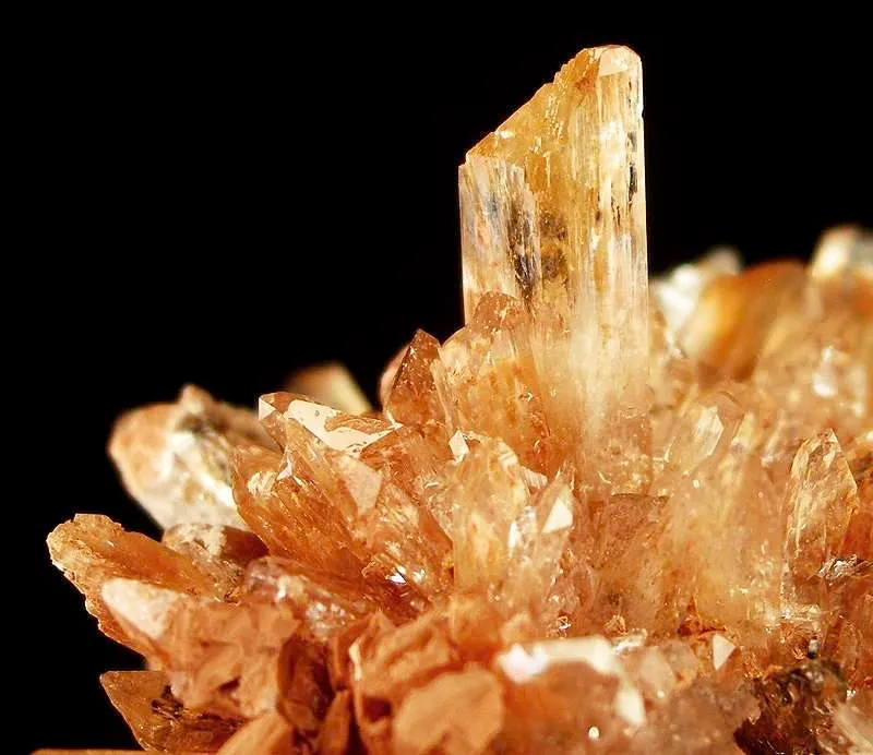 Creedite - image 2