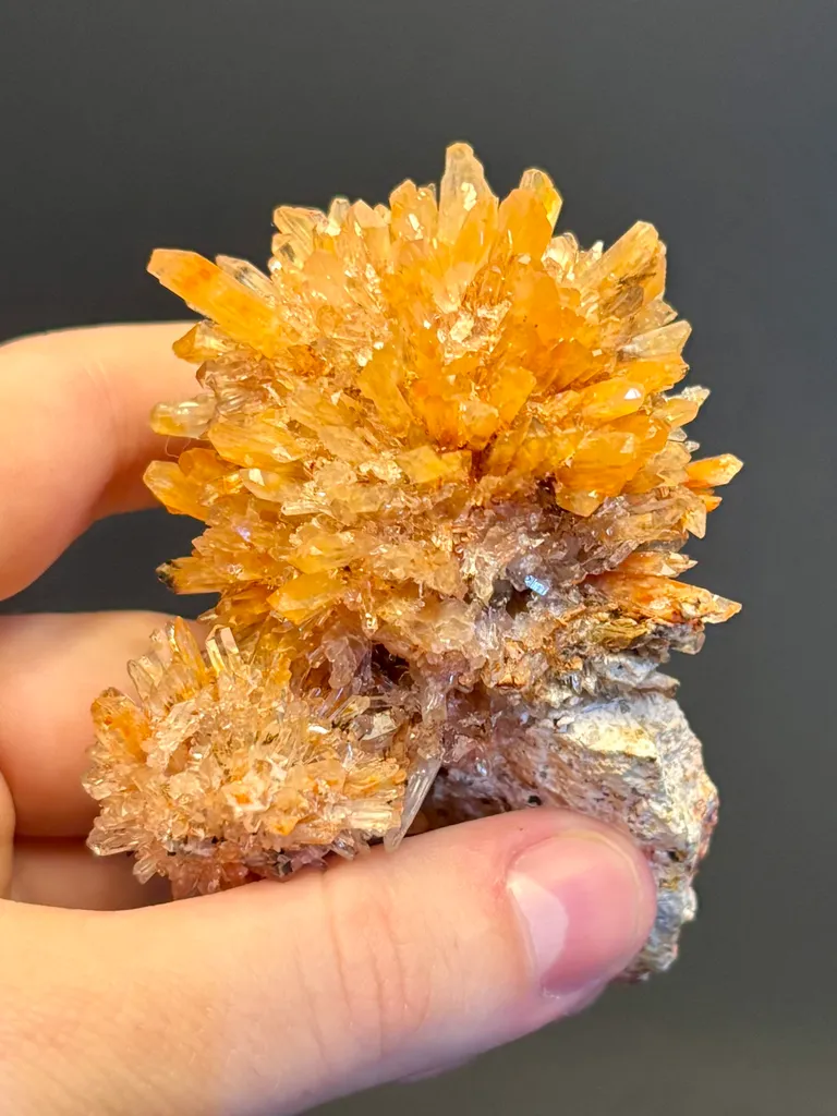 Creedite - image 4