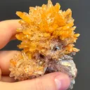 Creedite - image 4
