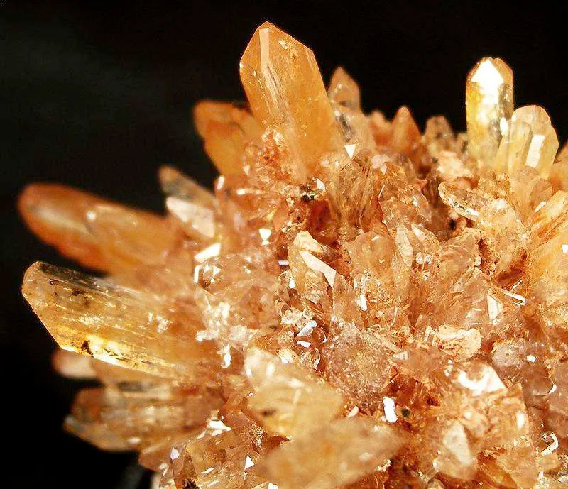Creedite - image 3