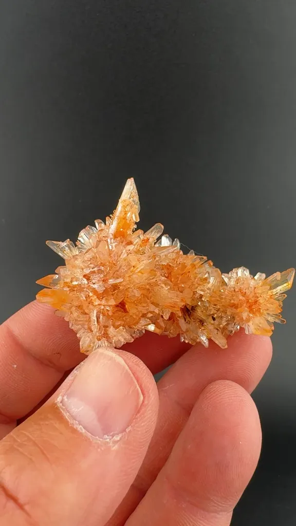 Creedite image