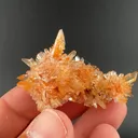 Creedite - image 1