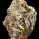 Creedite - image 4