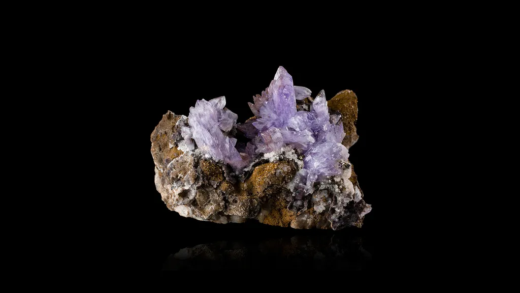 Creedite image