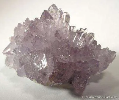 Creedite image
