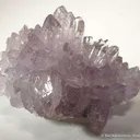 Creedite - image 1
