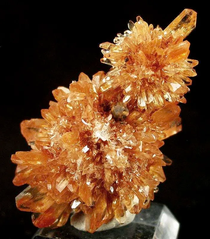 Creedite - image 2