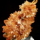 Creedite - image 2
