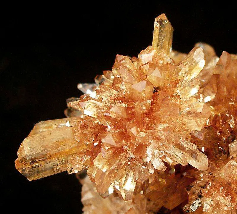 Creedite - image 3
