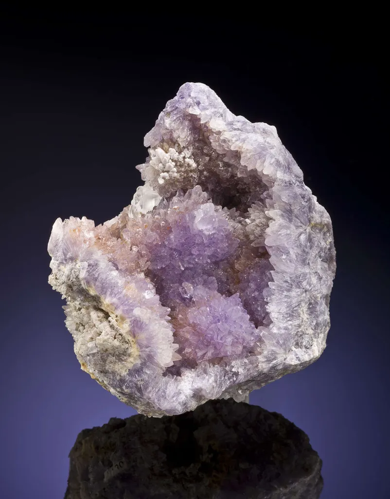 Creedite image