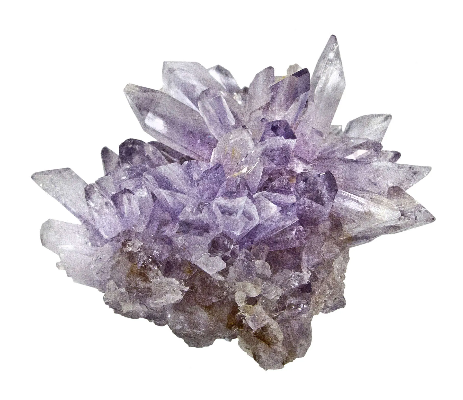 Creedite - image 3