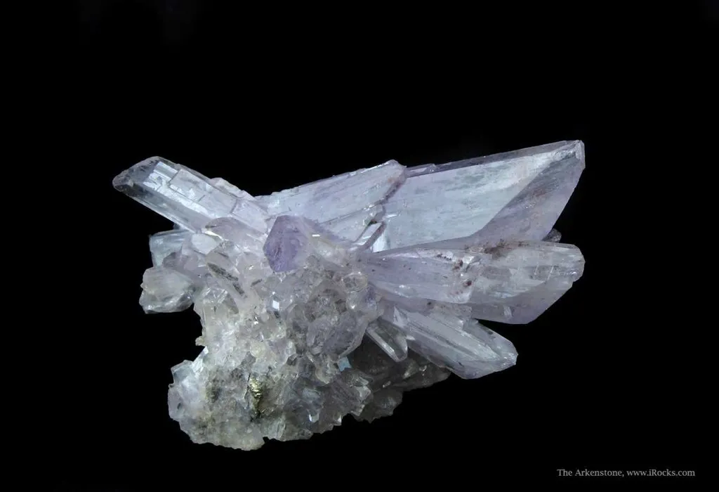 Creedite - image 5