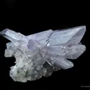 Creedite - image 5
