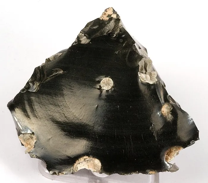Cristobalite, Fayalite image