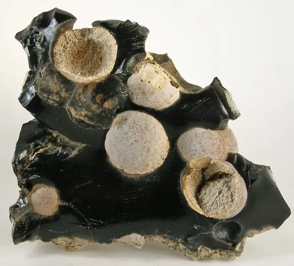 Cristobalite, Fayalite - image 1