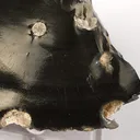 Cristobalite, Fayalite - image 2