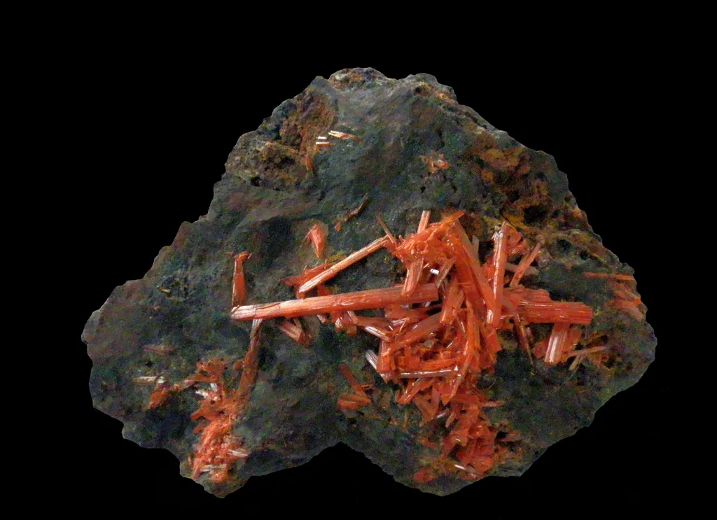 Crocoïte: 15cm x 10cm, Adelaide Mine, Dundas, Tasmanie image