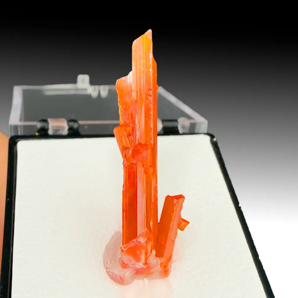 Crocoite image